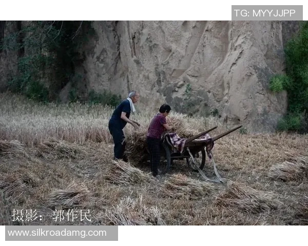 割麦子足球的魅力与乡村文化的深厚联系探讨